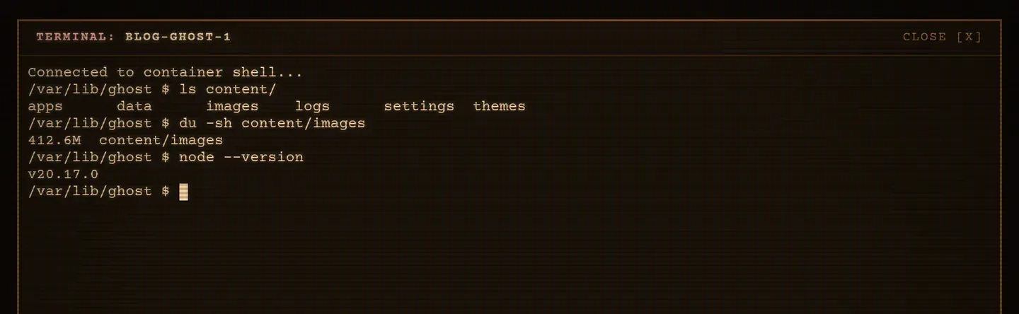 An interactive shell open in a container, with three commands run and their output.